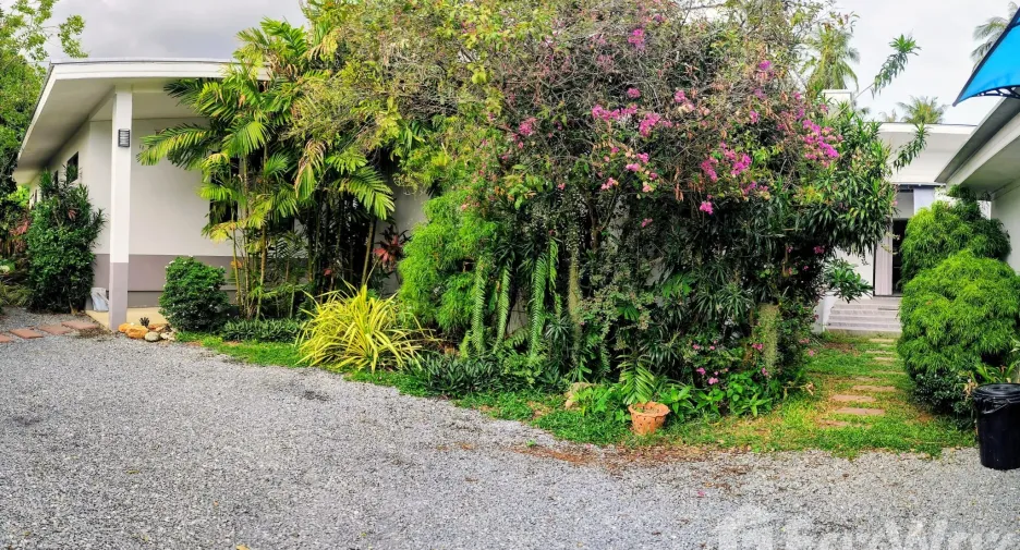 For rent 3 bedrooms villa in Ko Samui, Surat Thani