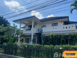 For rent 4 bedrooms house in San Sai, Chiang Mai