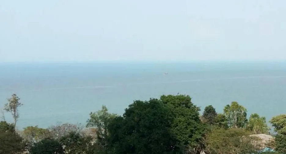 For sale 1 Beds condo in Bang Lamung, Chonburi