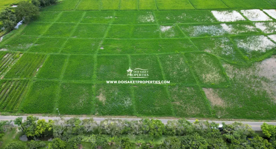 For sale land in Doi Saket, Chiang Mai