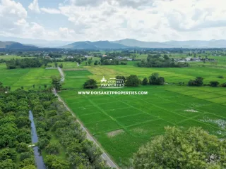 For sale land in Doi Saket, Chiang Mai
