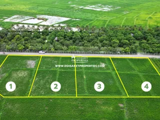 For sale land in Doi Saket, Chiang Mai