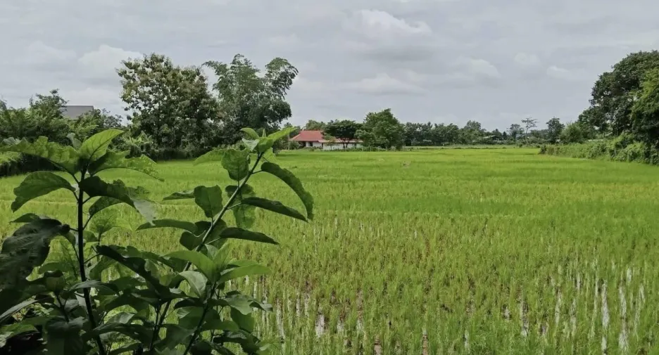 Casa en venta de 3 habitaciones en Doi Saket, Chiang Mai