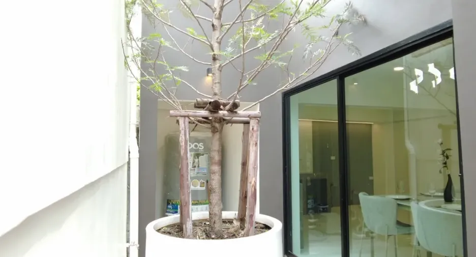 Reihenhaus zum Kauf mit 4 Zimmer in Lat Phrao, Bangkok