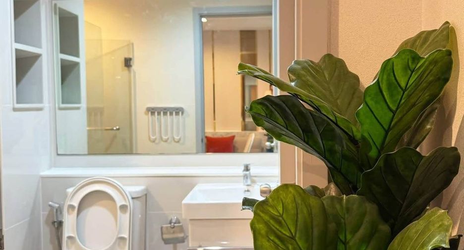For rent 1 bed condo in Phra Khanong, Bangkok