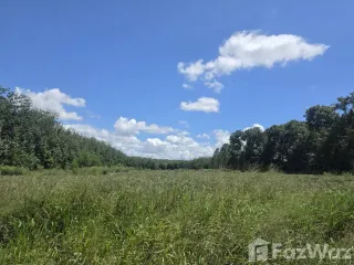 For sale land in Pluak Daeng, Rayong