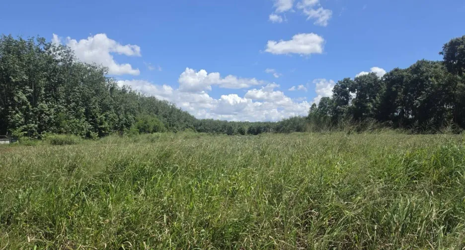 For sale land in Pluak Daeng, Rayong