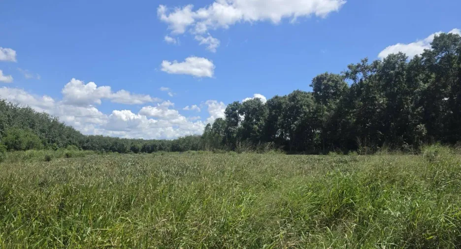 For sale land in Pluak Daeng, Rayong