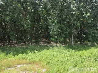 For sale land in Pluak Daeng, Rayong