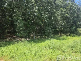 For sale land in Pluak Daeng, Rayong