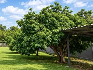 Terreno en venta en Hang Dong, Chiang Mai