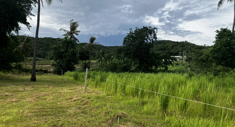 For sale land in Hua Hin, Prachuap Khiri Khan
