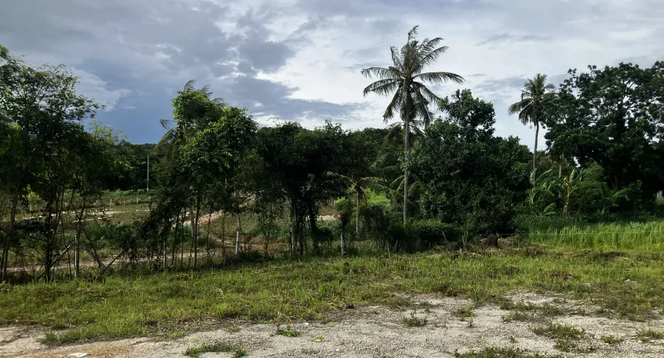 For sale land in Hua Hin, Prachuap Khiri Khan