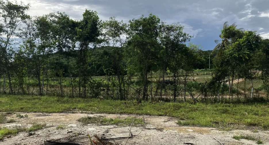 For sale land in Hua Hin, Prachuap Khiri Khan