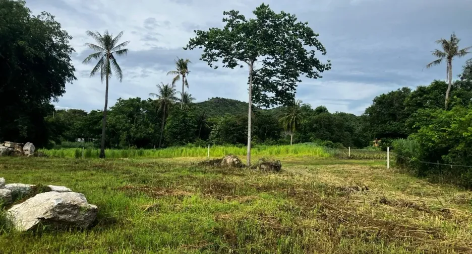 For sale land in Hua Hin, Prachuap Khiri Khan