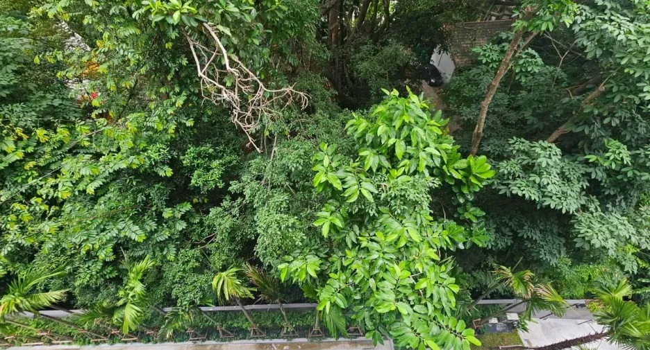 Wohnung zur Miete mit 1 Zimmer in Thalang, Phuket