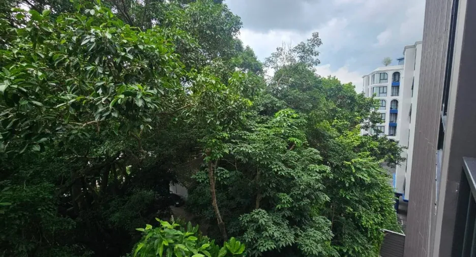 Wohnung zur Miete mit 1 Zimmer in Thalang, Phuket