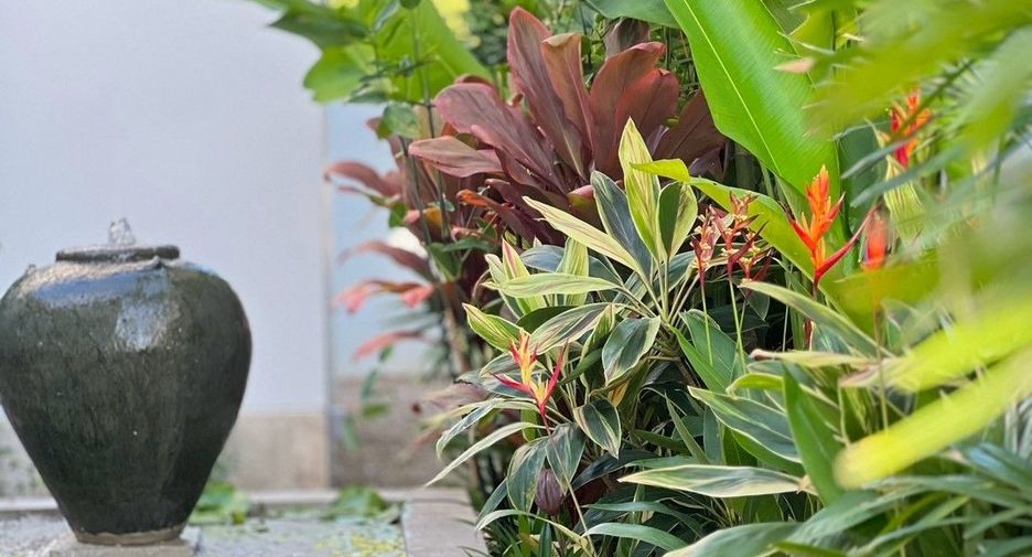 Casa en venta de 3 habitaciones en San Sai, Chiang Mai