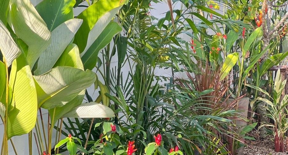 Casa en venta de 3 habitaciones en San Sai, Chiang Mai