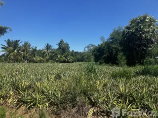 For sale land in Hua Hin, Prachuap Khiri Khan