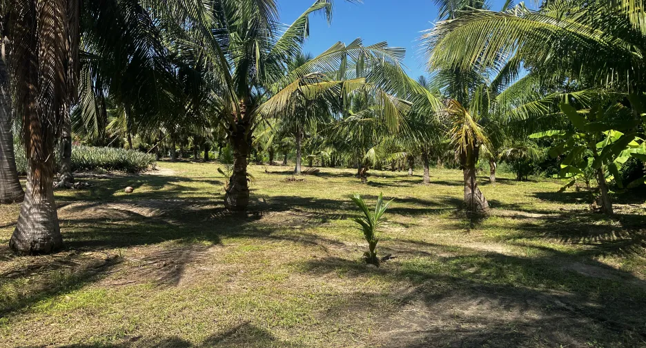 For sale land in Hua Hin, Prachuap Khiri Khan