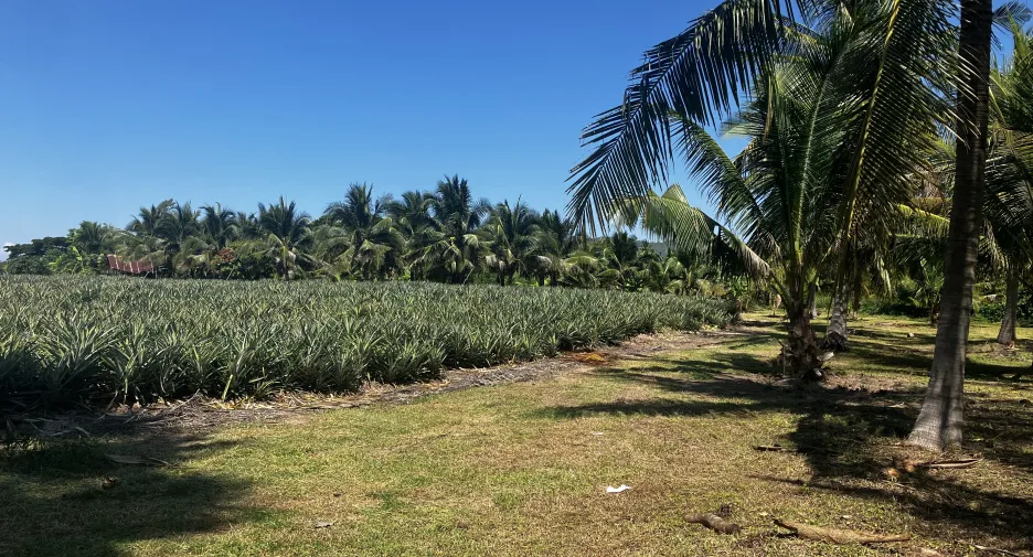 For sale land in Hua Hin, Prachuap Khiri Khan