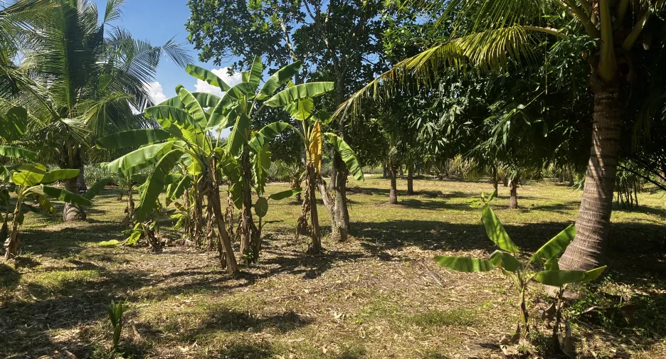 For sale land in Hua Hin, Prachuap Khiri Khan