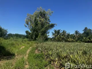For sale land in Hua Hin, Prachuap Khiri Khan