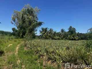 For sale land in Hua Hin, Prachuap Khiri Khan