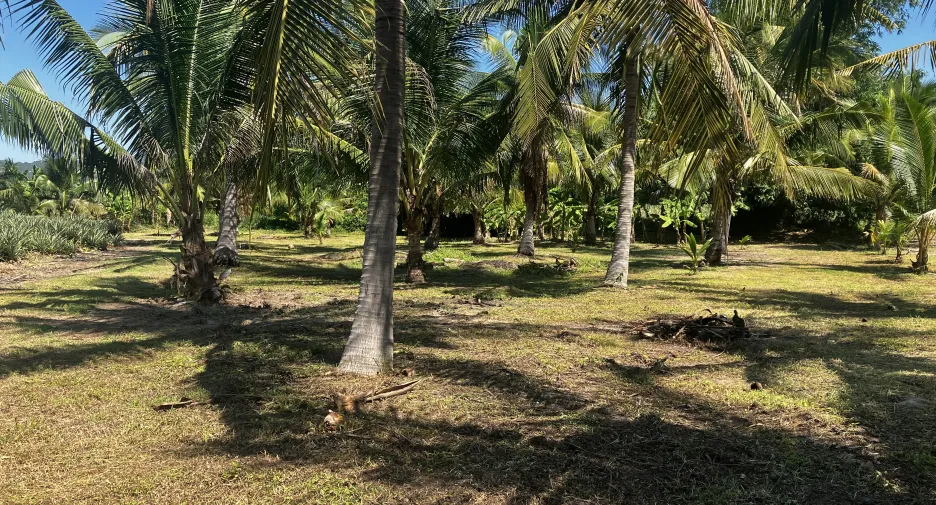 For sale land in Hua Hin, Prachuap Khiri Khan