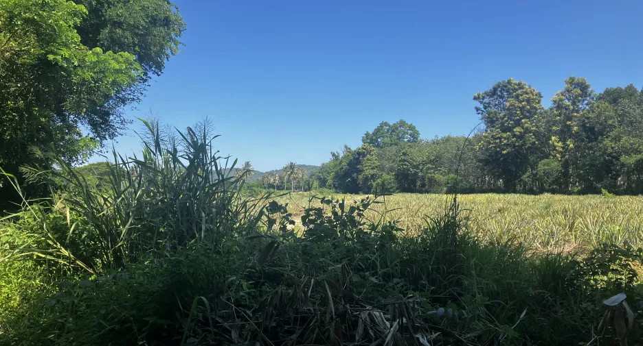 For sale land in Hua Hin, Prachuap Khiri Khan