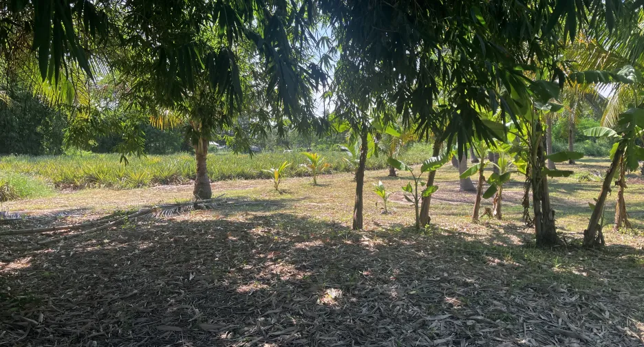 For sale land in Hua Hin, Prachuap Khiri Khan