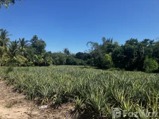 For sale land in Hua Hin, Prachuap Khiri Khan