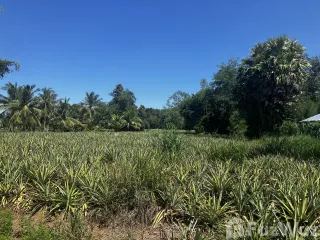 For sale land in Hua Hin, Prachuap Khiri Khan