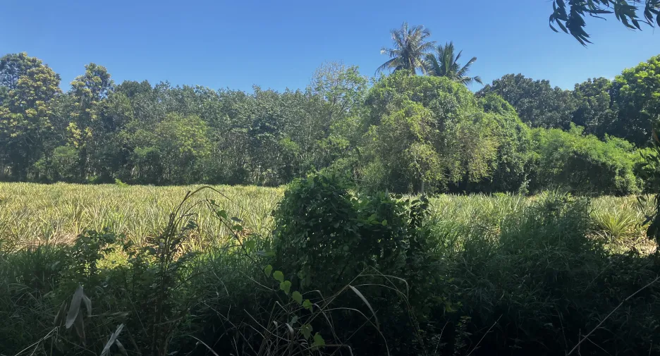 For sale land in Hua Hin, Prachuap Khiri Khan