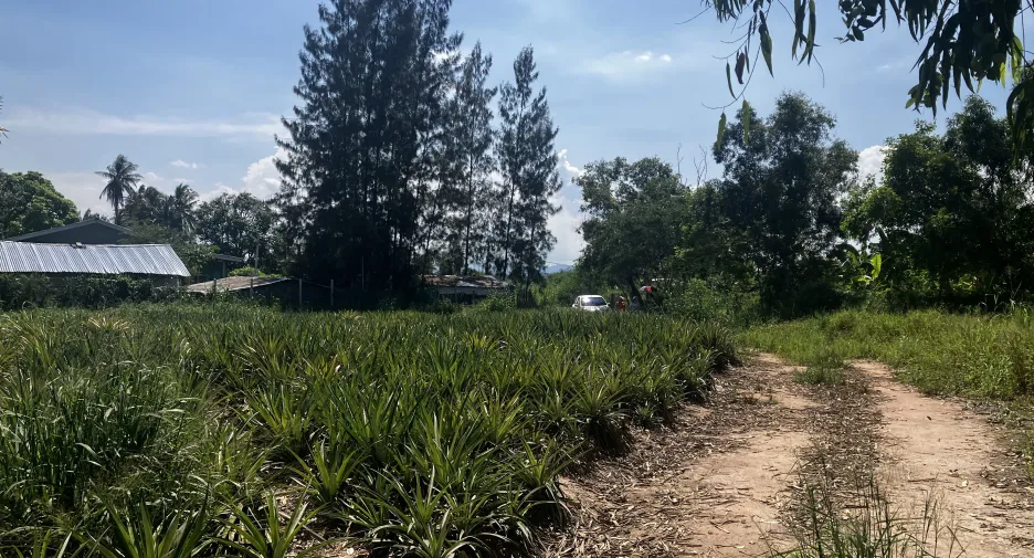For sale land in Hua Hin, Prachuap Khiri Khan