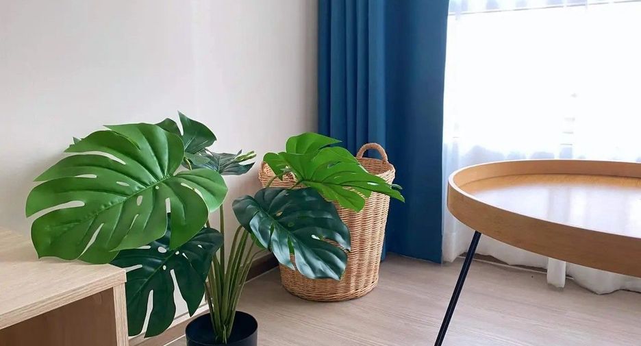 For sale and for rent studio condo in Hua Hin, Prachuap Khiri Khan
