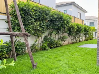 Haus zum Kauf und zur Miete mit 4 Zimmer in Lat Krabang, Bangkok