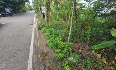 À vendre terrain à Bang Bua Thong, Nonthaburi