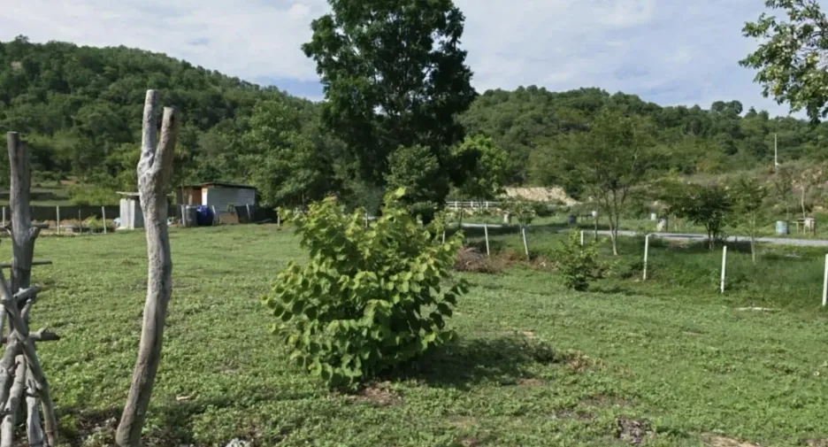 For sale land in Cha Am, Phetchaburi