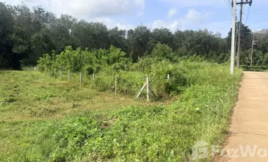 For sale land in Mueang Krabi, Krabi