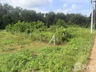 For sale land in Mueang Krabi, Krabi