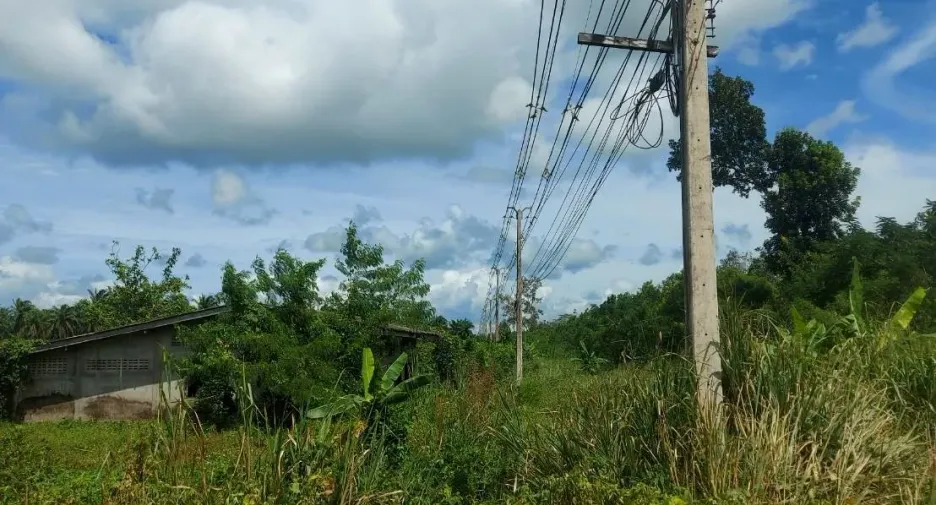 For sale land in Lamae, Chumphon