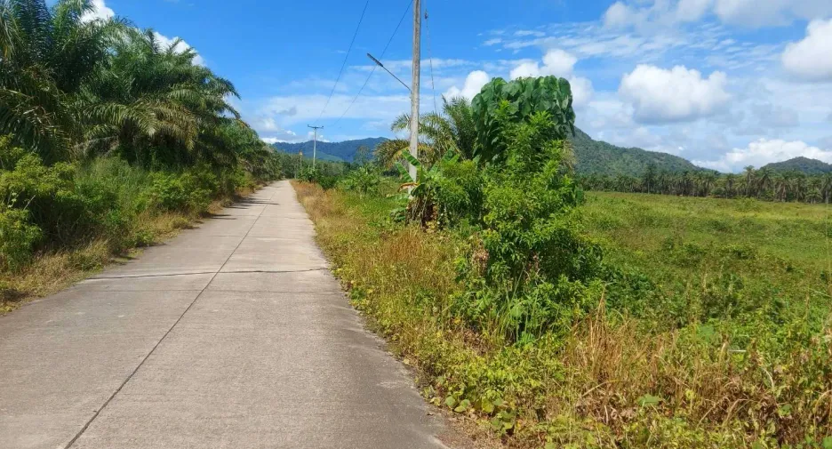 For sale land in Lamae, Chumphon