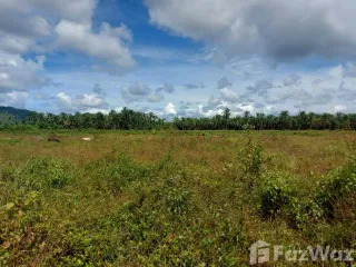 For sale land in Lamae, Chumphon