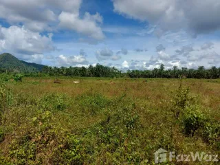 For sale land in Lamae, Chumphon