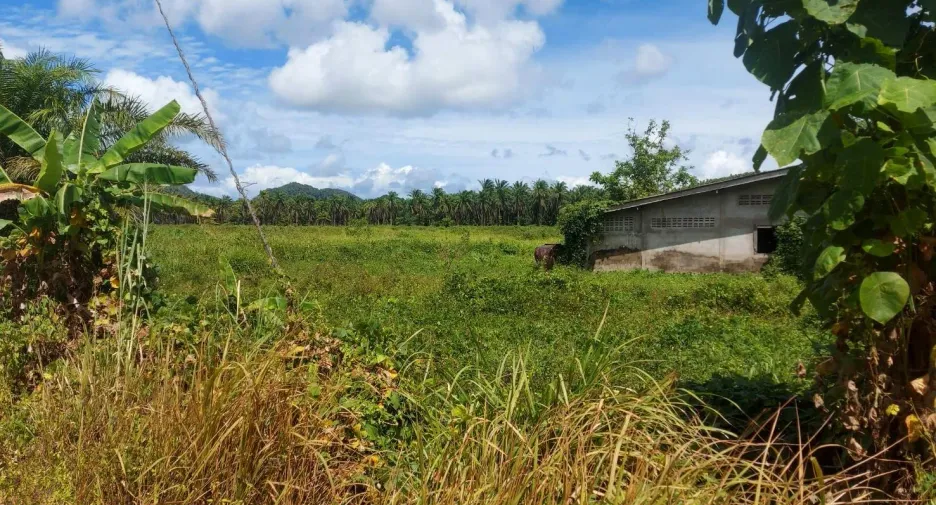 For sale land in Lamae, Chumphon