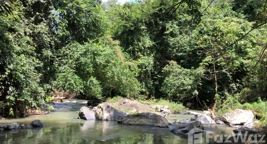 For sale land in Hat Yai, Songkhla