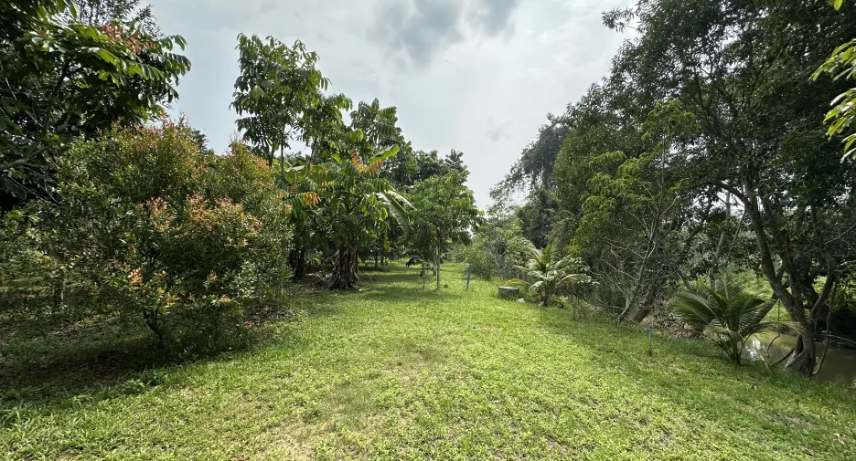 For sale land in Hat Yai, Songkhla