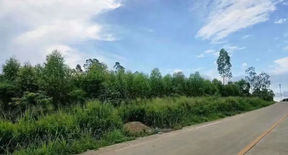 Grundstück zum Kauf in Bo Thong, Chonburi